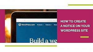 creating a notice in your WordPress Site