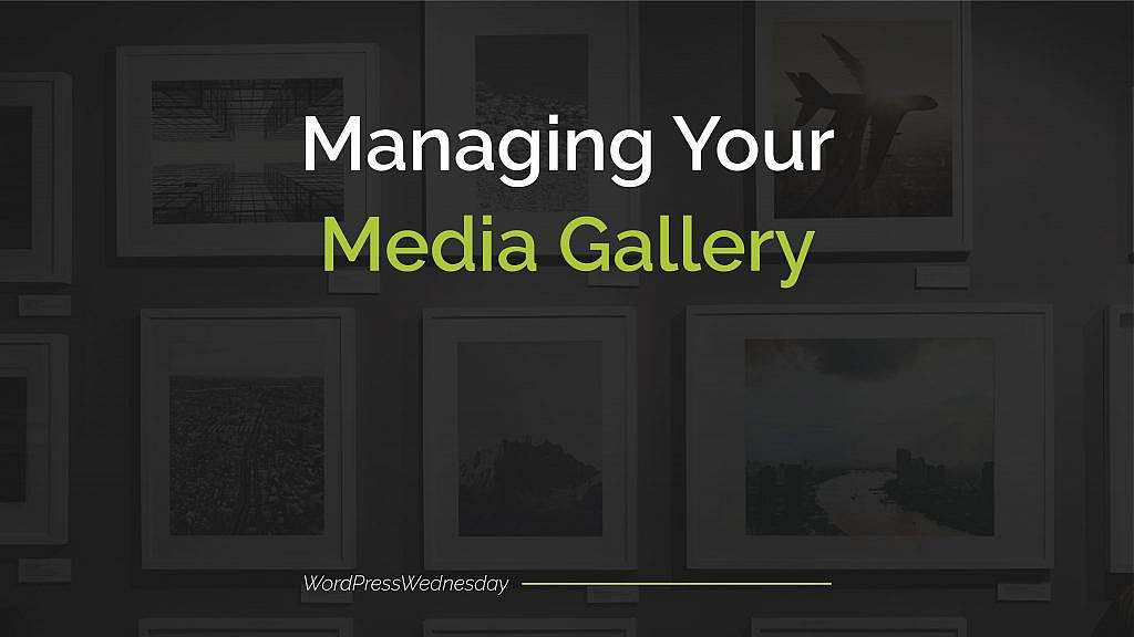 Managing Media Gallery