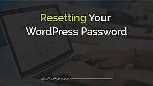 Resetting Your WordPress Password