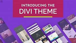 ntroducing the divi theme