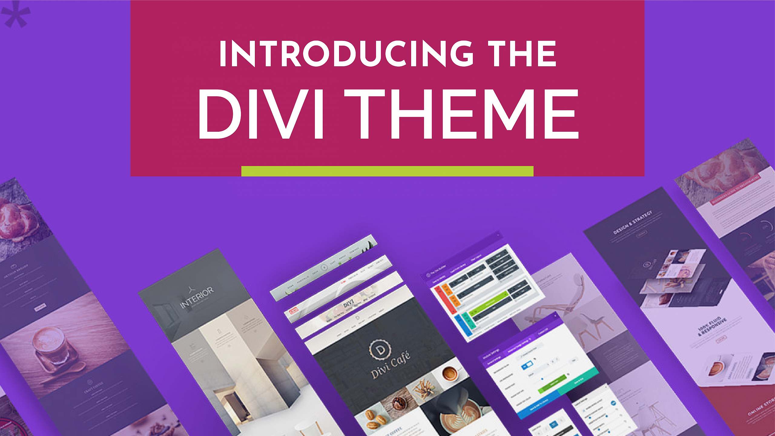 ntroducing the divi theme