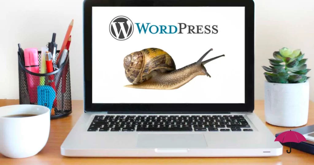 picture of a snail on a wordpress website, insinuating that the website is running slowly